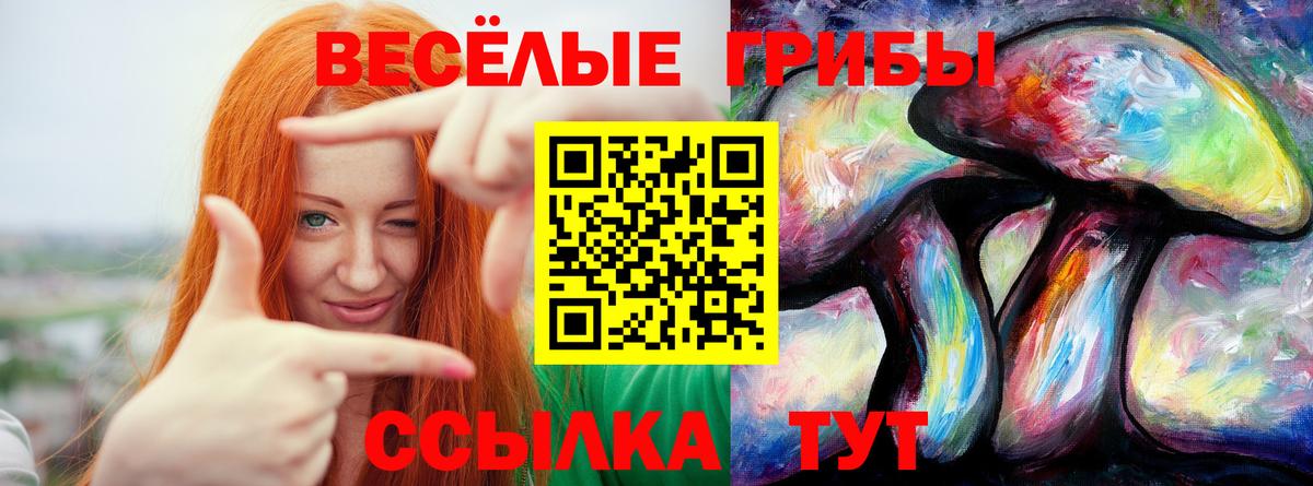 Майкоп  Псилоцибиновые грибы Psilocybine cubensis  Вход с VPN 
