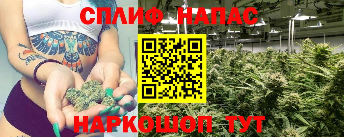 Шишки марихуана конопля Майкоп